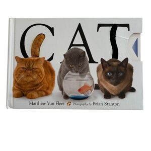 book CAT Simon & Schuster children cats kittens interactive picture